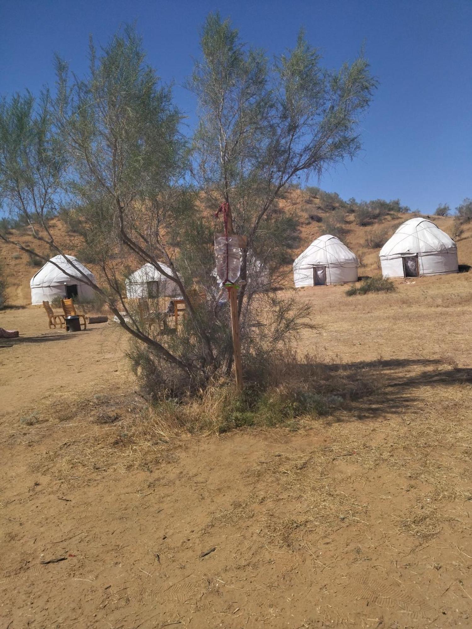 Authentic Uzbek Yurt Camp Eco-Friendly Nurota Exterior foto